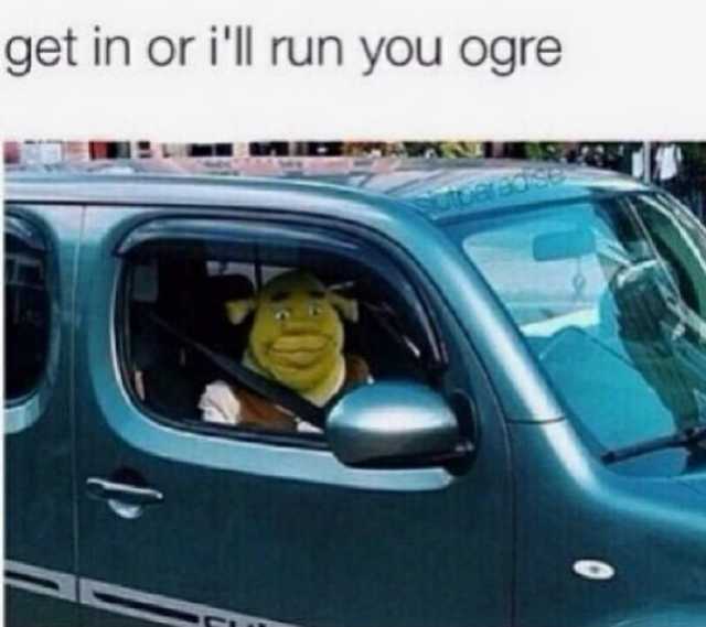 Before You Know It's Ogre